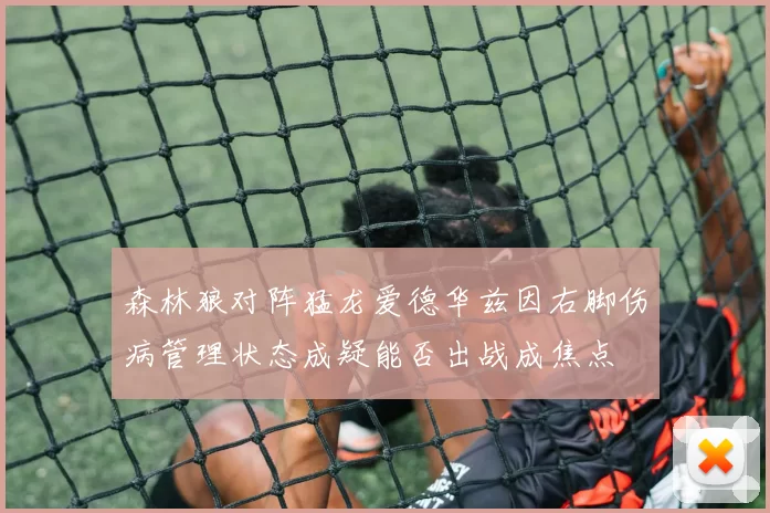 森林狼对阵猛龙爱德华兹因右脚伤病管理状态成疑能否出战成焦点